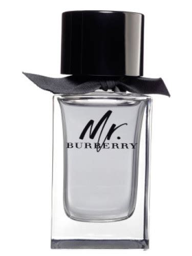 costo profumo mr burberry|mr burberry cologne.